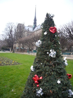 f0031138_77655.jpg