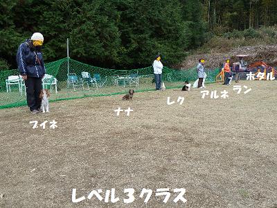 f0186040_1865.jpg