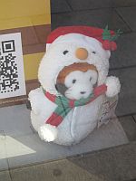 フリーター、家を買う。最終回「母さんが、笑った」 _e0080345_94639100.jpg