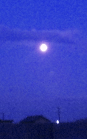 d0200447_17412220.gif
