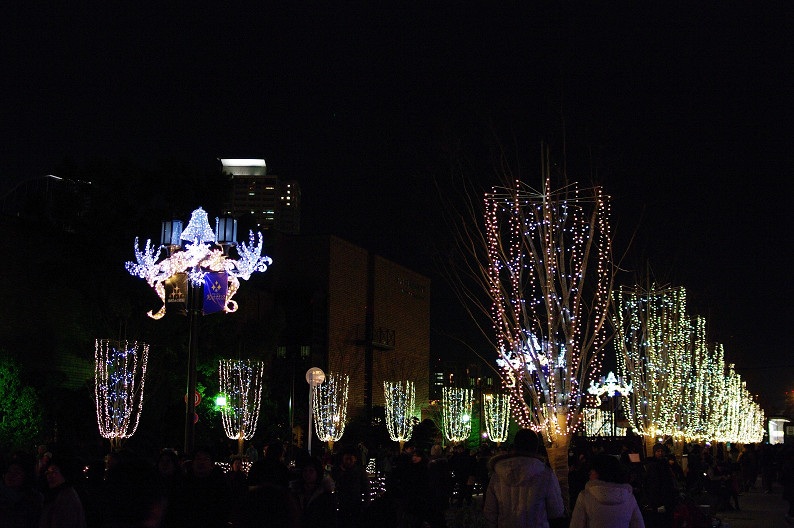 f0152550_22534951.jpg
