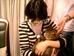 c0176651_13263937.gif
