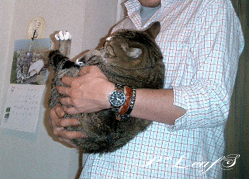 c0176651_1327896.gif