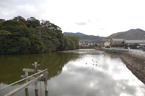 野鳥観察ウオーキング_c0108460_14291036.jpg