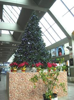 e0197164_1238418.jpg