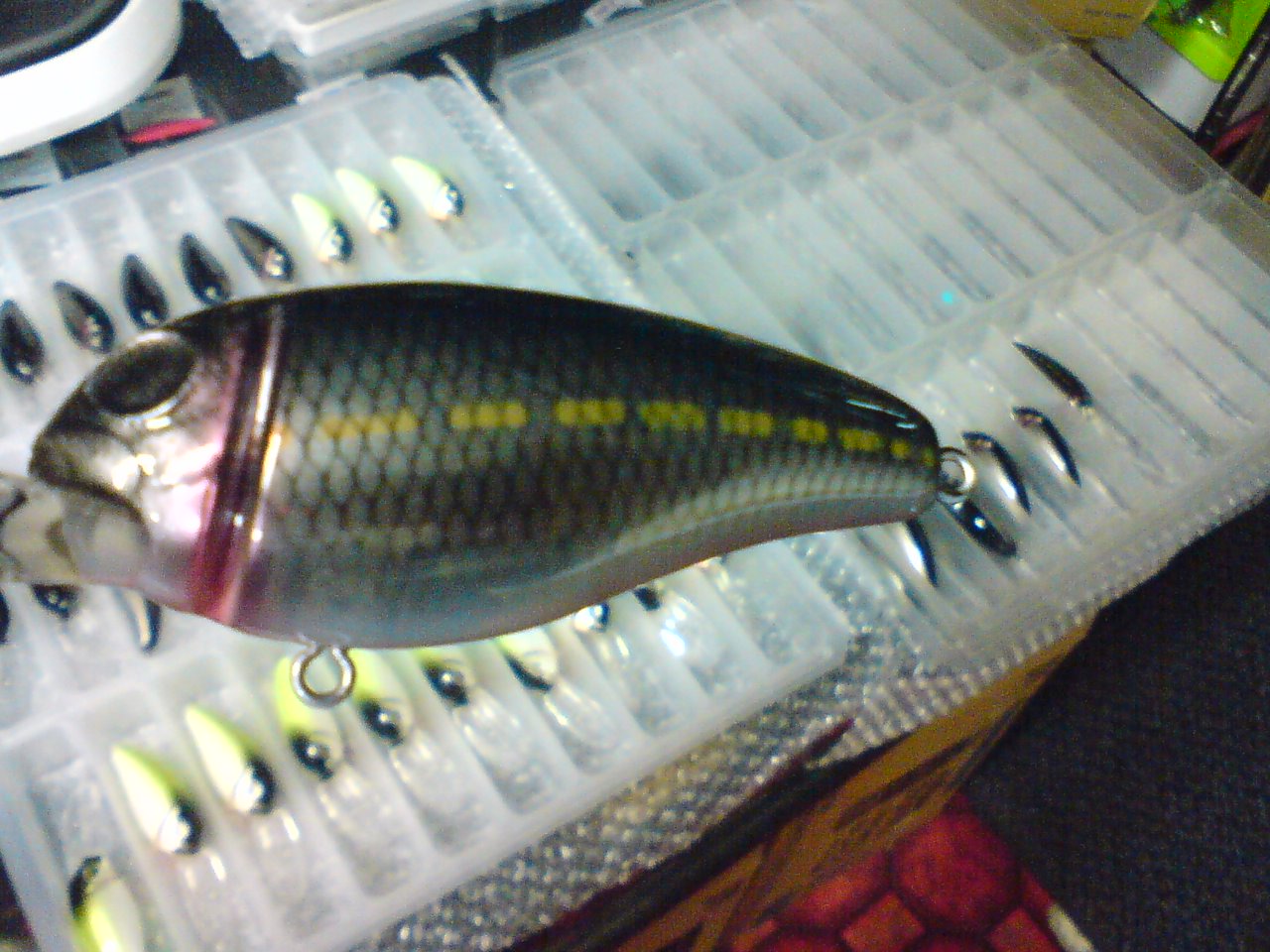 塗装完了_a0040876_1111828.jpg