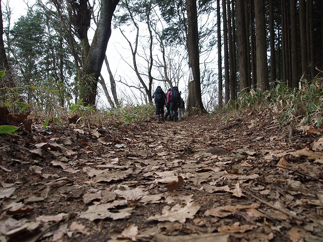 山登り＠陣馬山～高尾山_d0177881_2025033.jpg