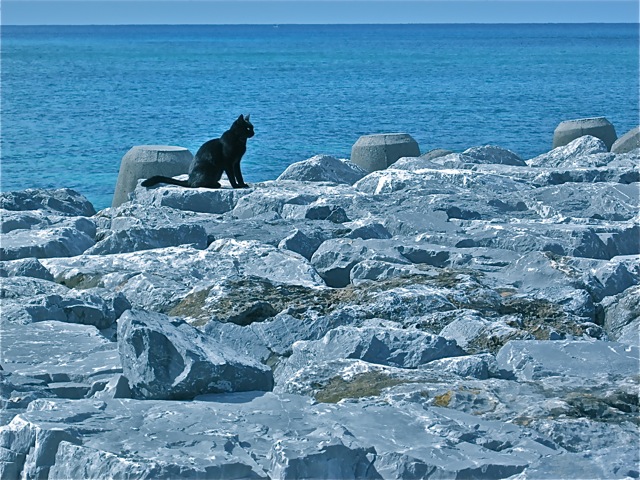 a0011382_176537.jpg
