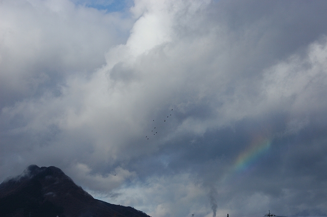 c0212083_16251231.jpg