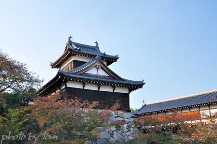 奈良大和路「郡山城」～『菜の花の　中に城あり　郡山』_b0155692_1851881.jpg