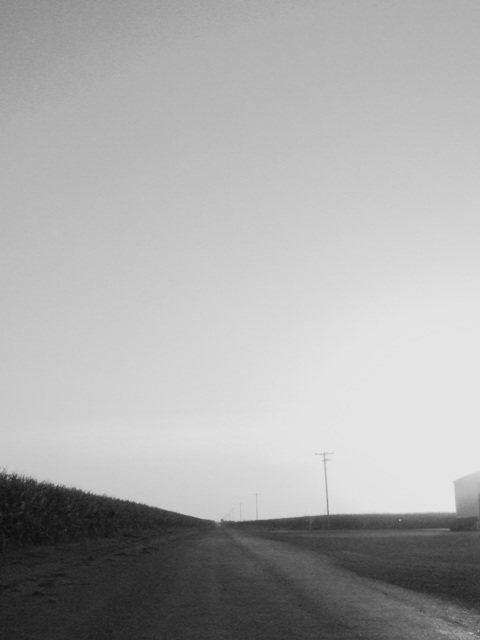 c0062603_51152.jpg