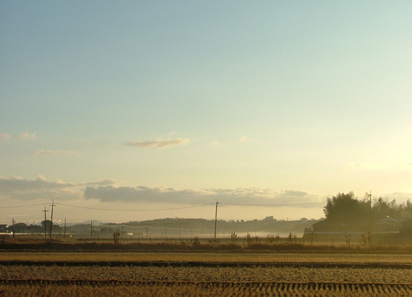 a0182404_15937.jpg