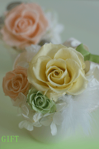 b0111306_23502194.gif