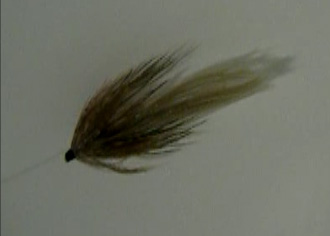 a0176707_18293834.jpg