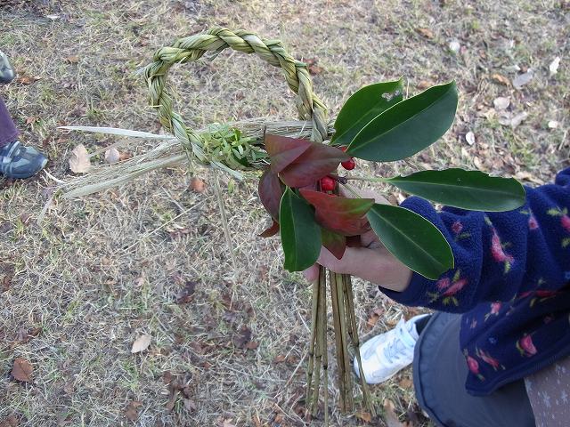 すみれば探検隊「すみればのクリスマス、そしてお正月」_b0049307_10554644.jpg