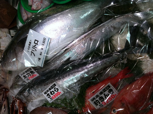 クリスマスリースと生きのいい魚達_f0151515_214631.jpg