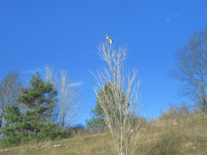 c0120817_13521771.jpg