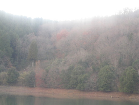a0125419_11404963.jpg