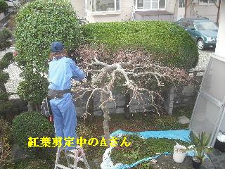 スーパー戦士 一日の格闘_f0031037_2126169.jpg