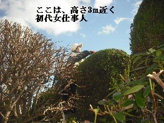 スーパー戦士 一日の格闘_f0031037_21285641.jpg