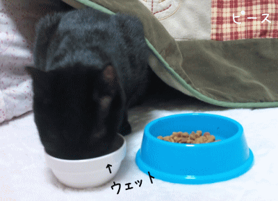 a0166338_20141553.gif