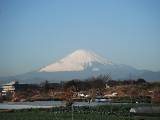 今朝の冬富士です・・関谷畑から_c0222448_115811100.jpg