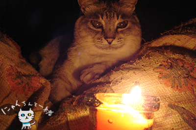 e0031853_07386.jpg