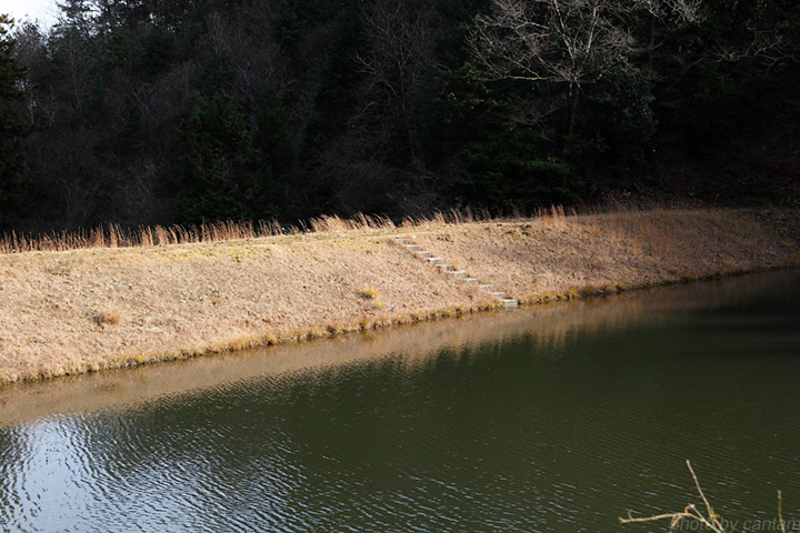 岡山県美咲町 先谷池_f0091955_1445395.jpg