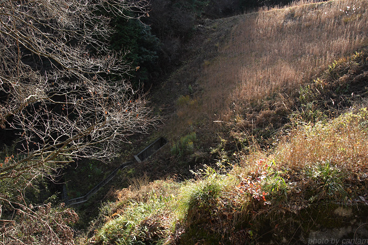 岡山県美咲町 先谷池_f0091955_1445486.jpg