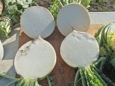 c0145581_1739354.jpg