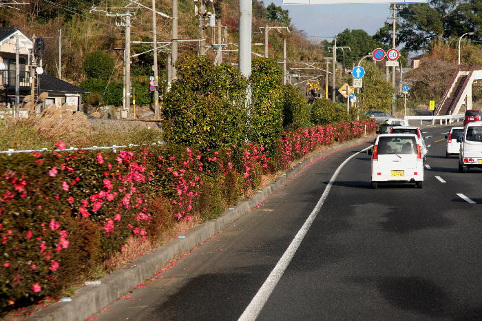 b0171185_0255677.jpg