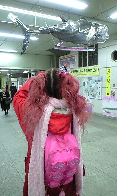 アキバついたあ_b0088086_16593887.jpg