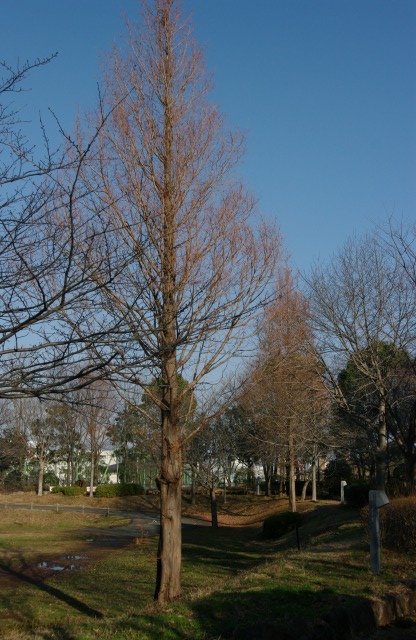 e0070891_18145465.jpg