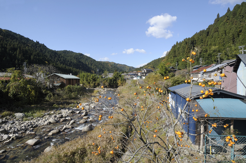 根羽村森林組合　　　　_f0089391_14283624.jpg