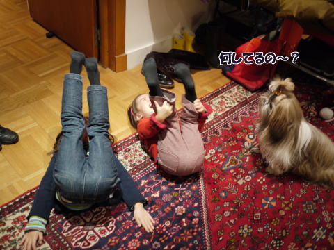 c0090198_66714.jpg