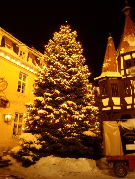 ドイツ文学初のクリスマスツリー ドイツ木組みの家街道 Deutsche Fachwerkstrasse