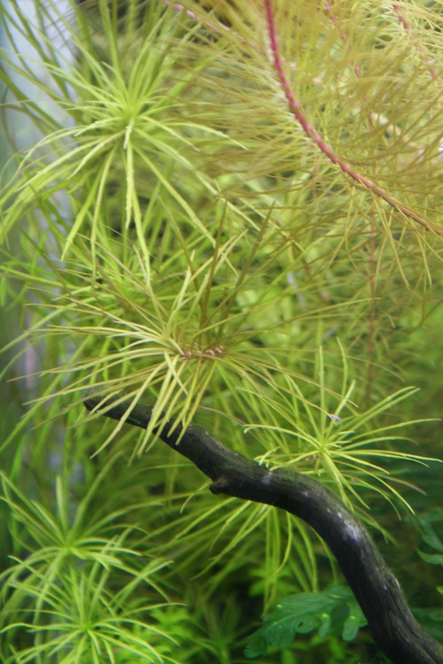 a0183301_1841164.jpg