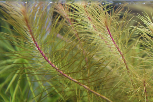 a0183301_18513278.jpg
