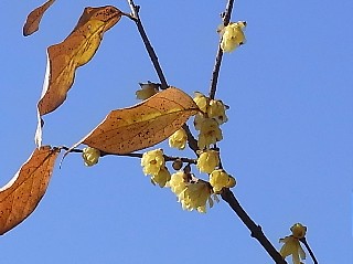 d0051601_2231650.jpg