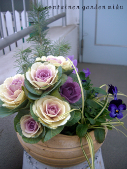 f0217905_1354465.jpg