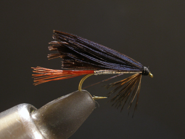 a0176707_0453463.jpg