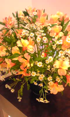 c0180209_15405831.jpg
