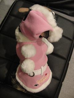 c0201113_2218651.jpg