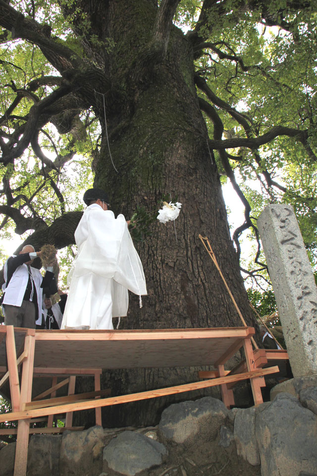 新熊野神社（いまくまの神社）つなかけ祭り_e0048413_2183989.jpg