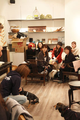 犬の未来を考える会初主催のイベント報告!_c0209415_2122598.jpg