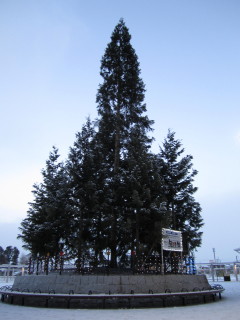 b0147224_21423730.jpg