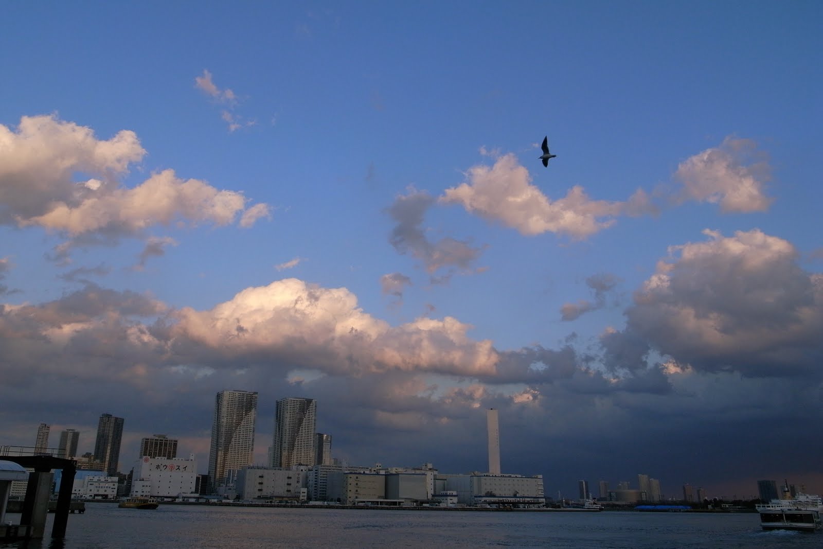 20101224 月島・晴海方面とゆりかもめ_b0005129_1961214.jpg