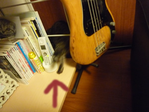 c0125532_14501174.jpg