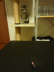 c0125532_1451572.jpg