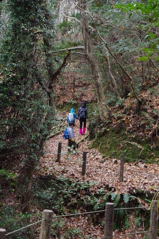 ちょい歩き～環状自然歩道を南へ_c0113733_04052.jpg